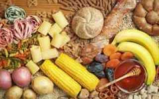 Углеводы и белки в продуктах: основы правильного питания для стройной фигуры и здоровья