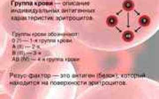 3 отрицательная группа крови: ее особенности и влияние на здоровье