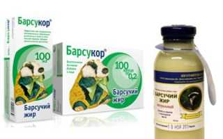 Барсучий жир при беременности: советы по применению и рекомендации