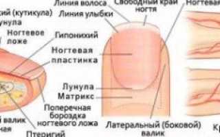 Триммер для кутикулы: как правильно им пользоваться и ухаживать за ногтями