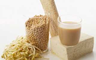 Изучаем соевые продукты: соевое молоко, соевый соус, соевый сыр тофу, соевое мясо, соевое масло и их полезные свойства