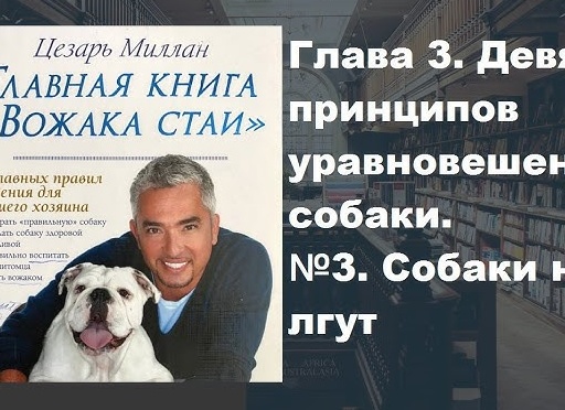 Три самых важных правила хорошего хозяина сауны